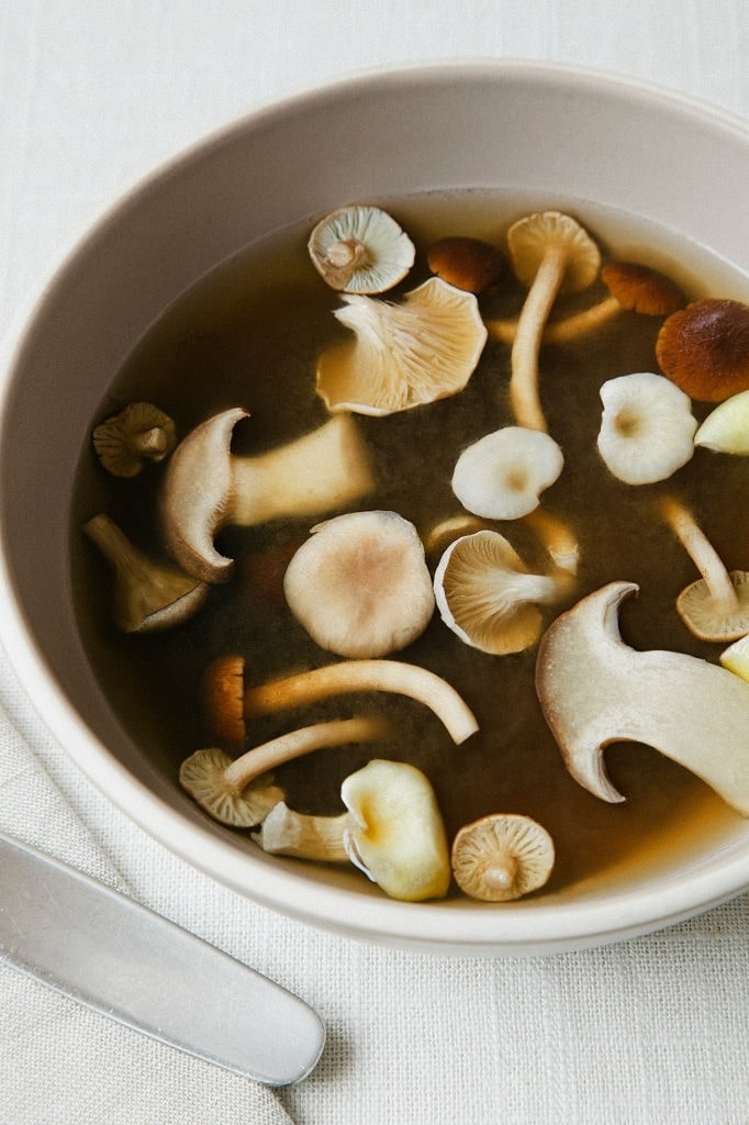 mashroom broth