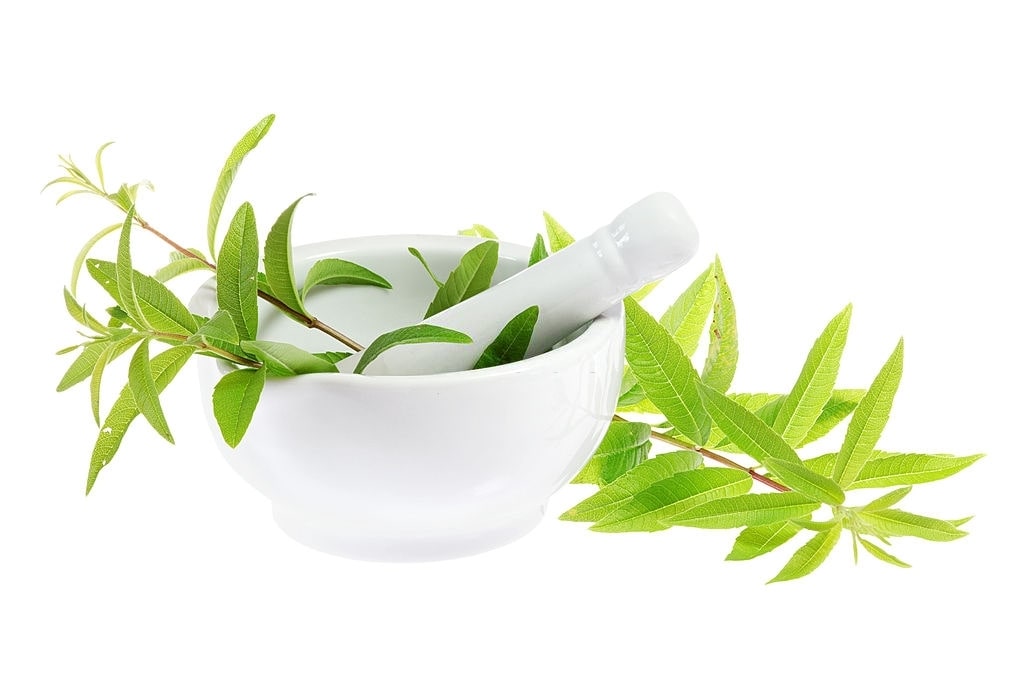 lemon verbena